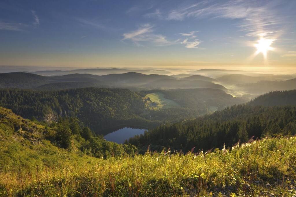Waldoase Titisee Exterior photo