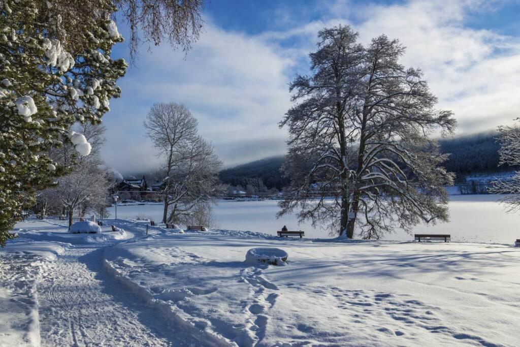 Waldoase Titisee Exterior photo